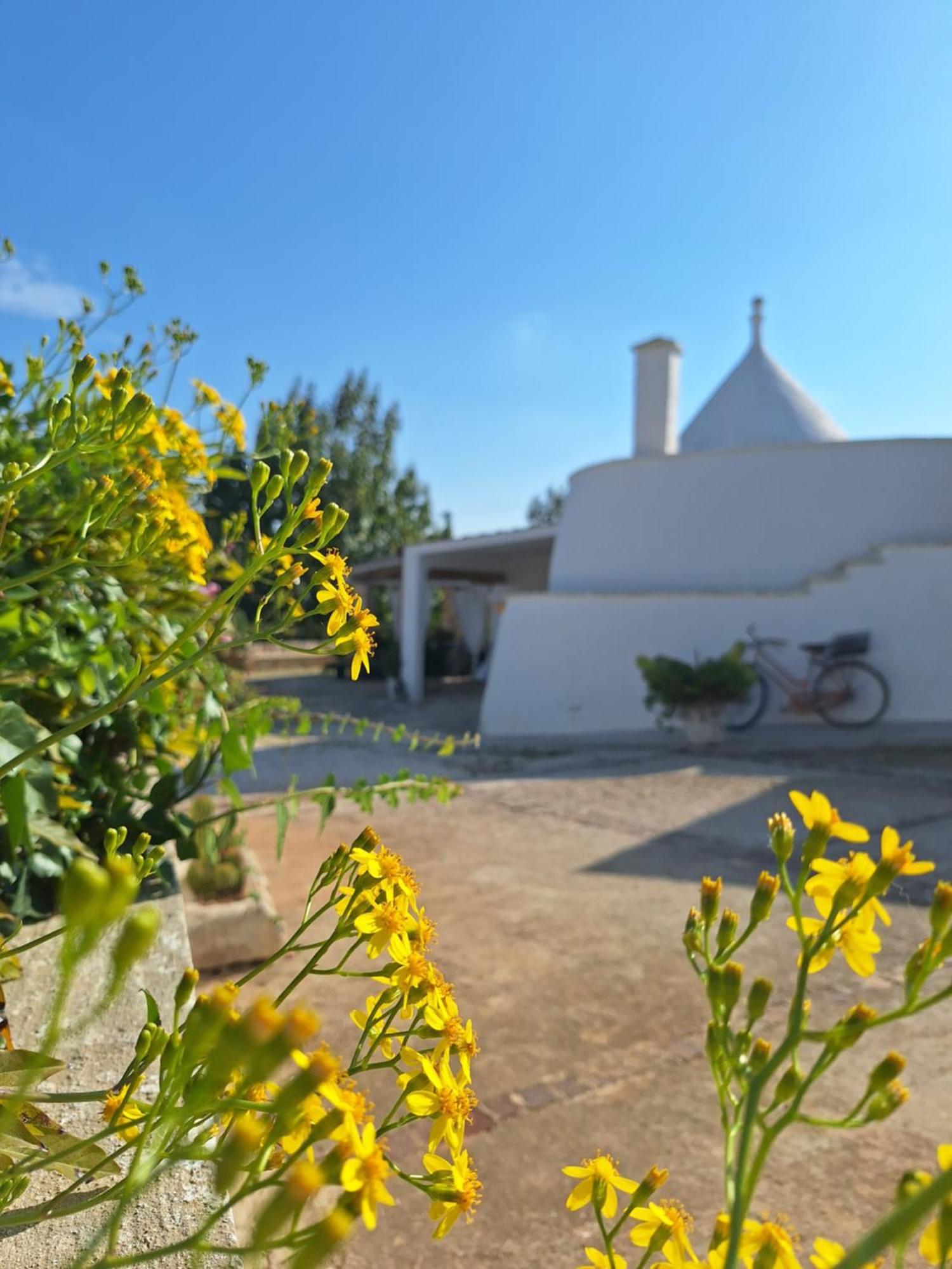 Holiday Home Trullo Antico Ostuni Eksteriør billede